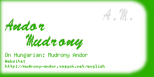 andor mudrony business card